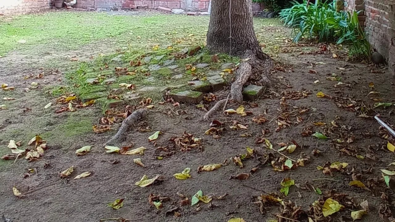EN VENTA ➡️ CASA DE BARRIO