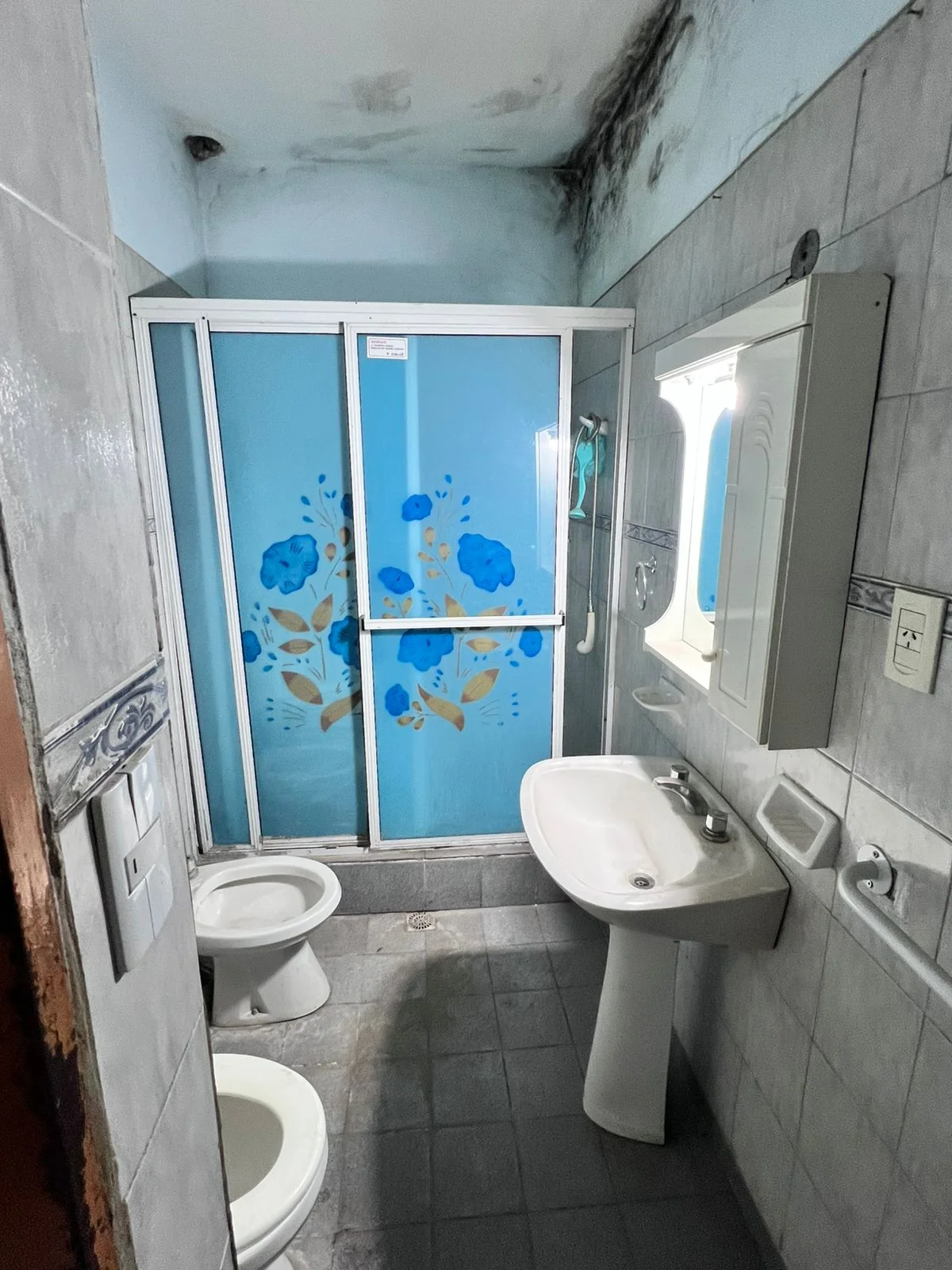 CASA CON LOCAL EN VENTA | PELLEGRINI 2100 | BRAGADO