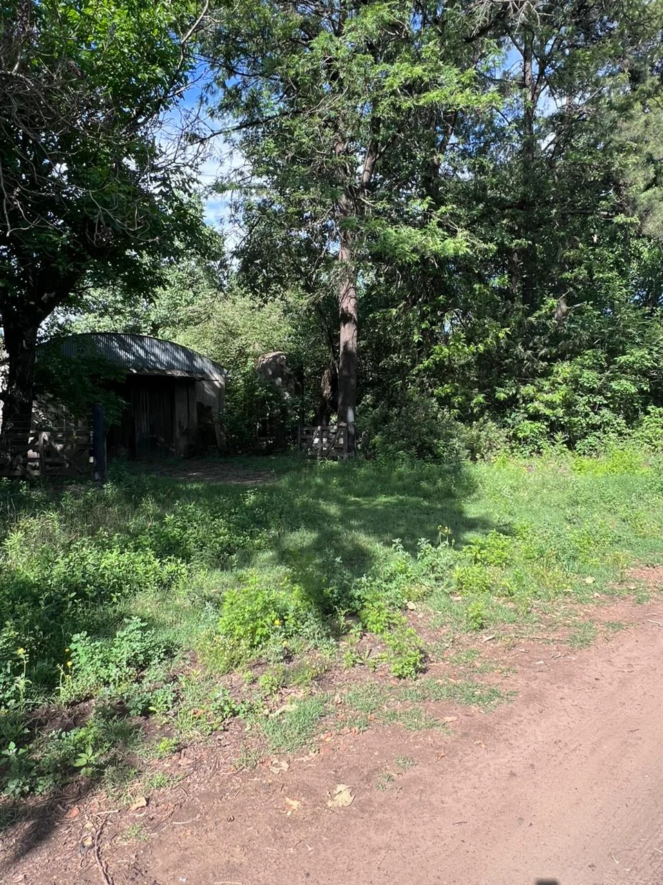 VENTA TERRENO | CARLOS GARDEL Y ALICIA M JUSTO | BRAGADO