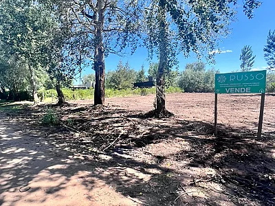 VENTA DE TERRENO | JUAN D ARIENZO entre LOS CIRUELOS Y LA LIMPIA | BRAGADO