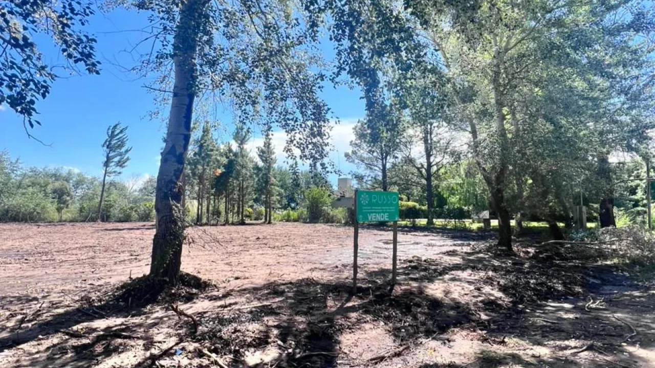 VENTA DE TERRENO | JUAN D ARIENZO entre LOS CIRUELOS Y LA LIMPIA | BRAGADO