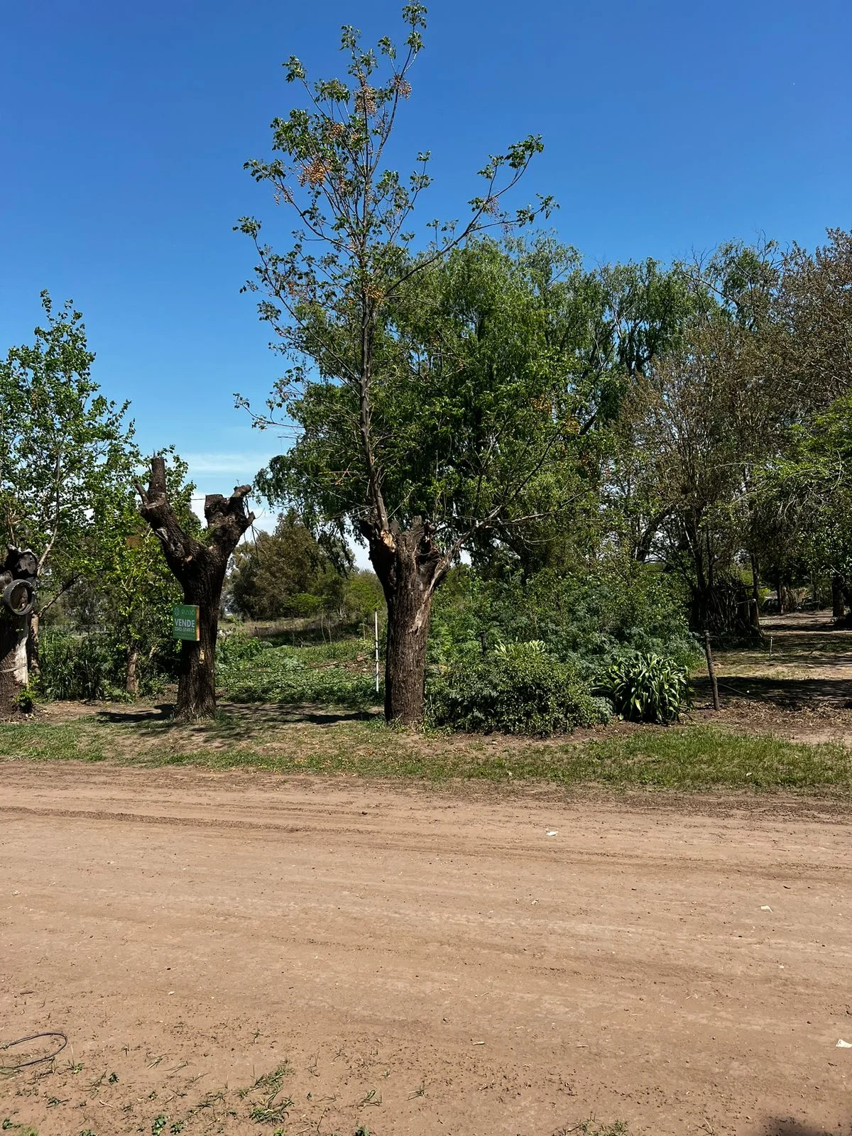 TERRENO EN VENTA | MECHA