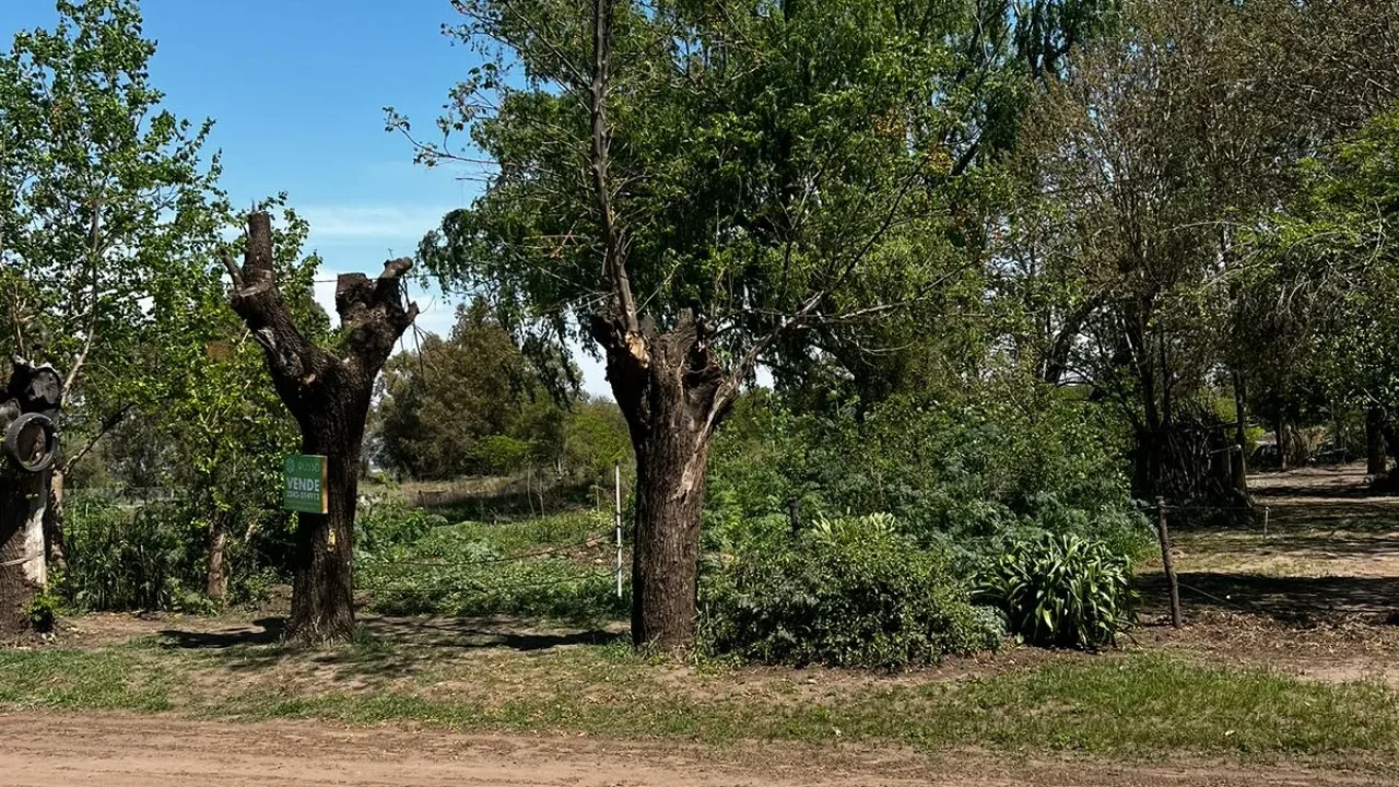 TERRENO EN VENTA | MECHA