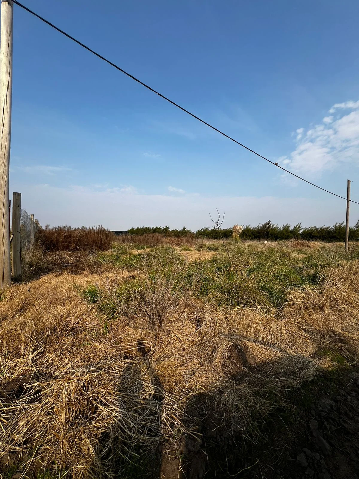 TERRENO EN LOTEO | LA HERRADURA | BRAGADO