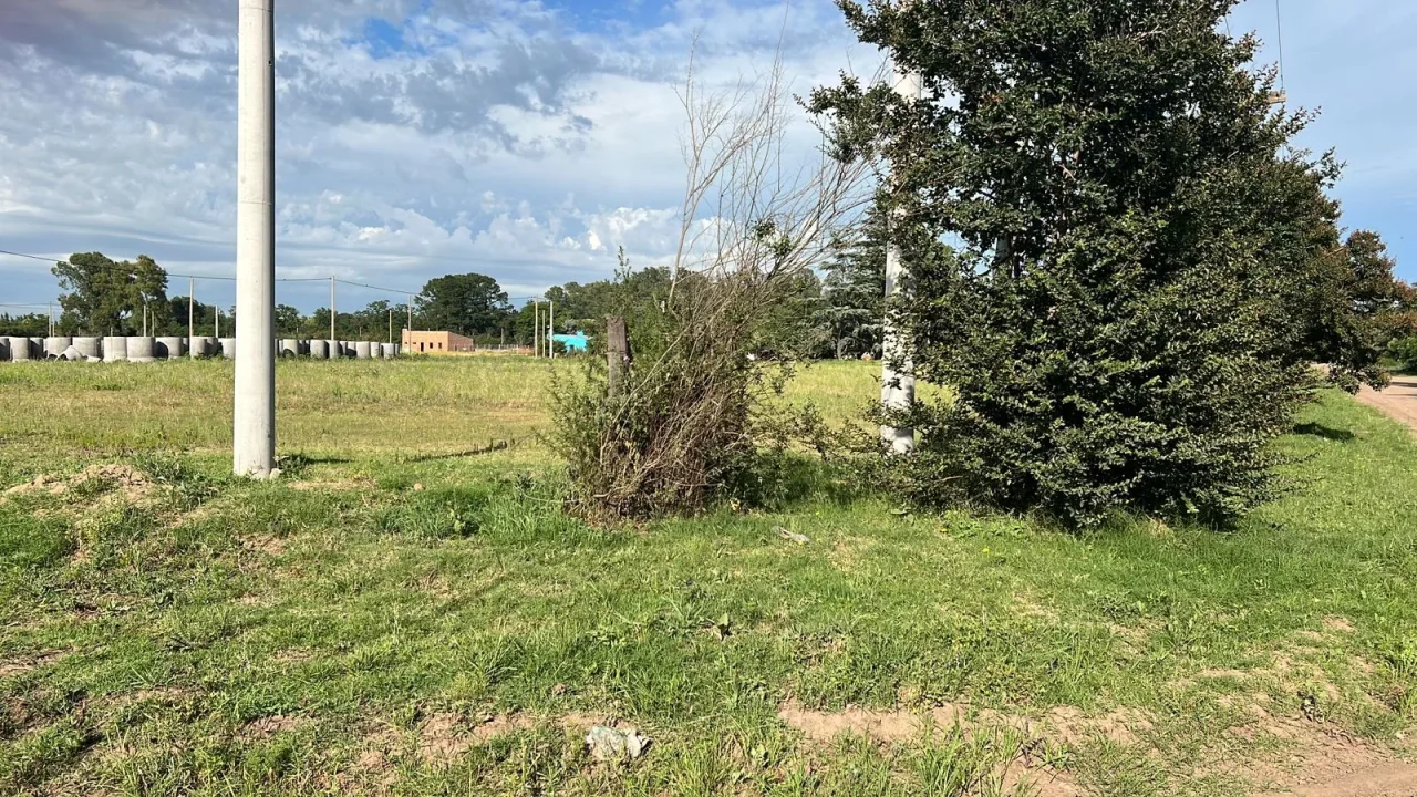 VENTA DE TERRENOS | CALLE DORREGO | BRAGADO