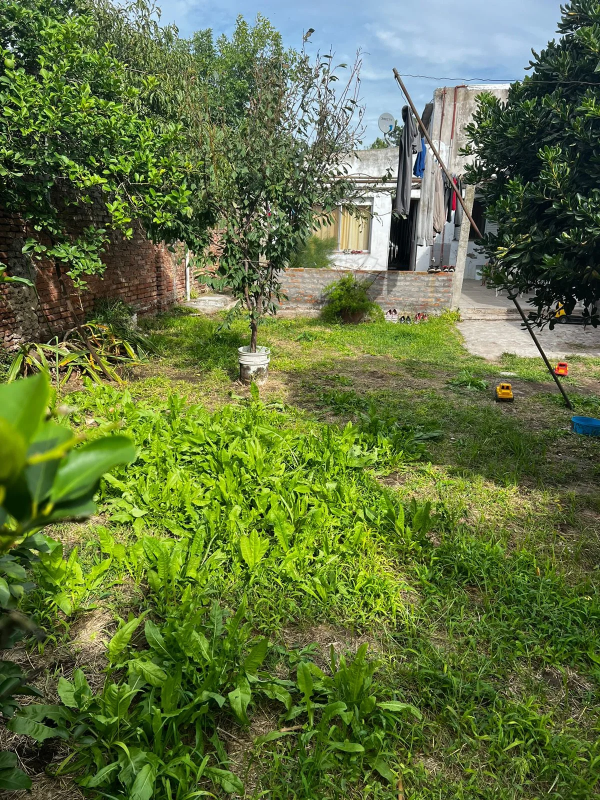 CASA EN VENTA| MECHITA