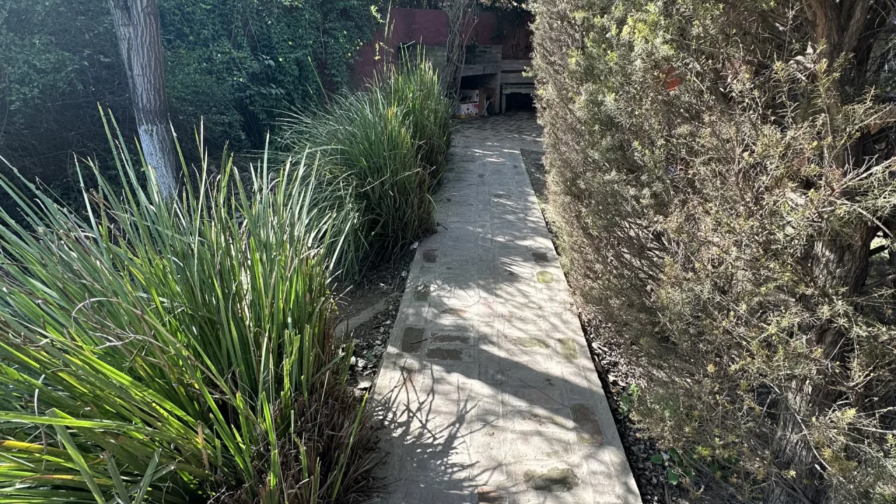 Casa Juan Manuel de Rosas 1384