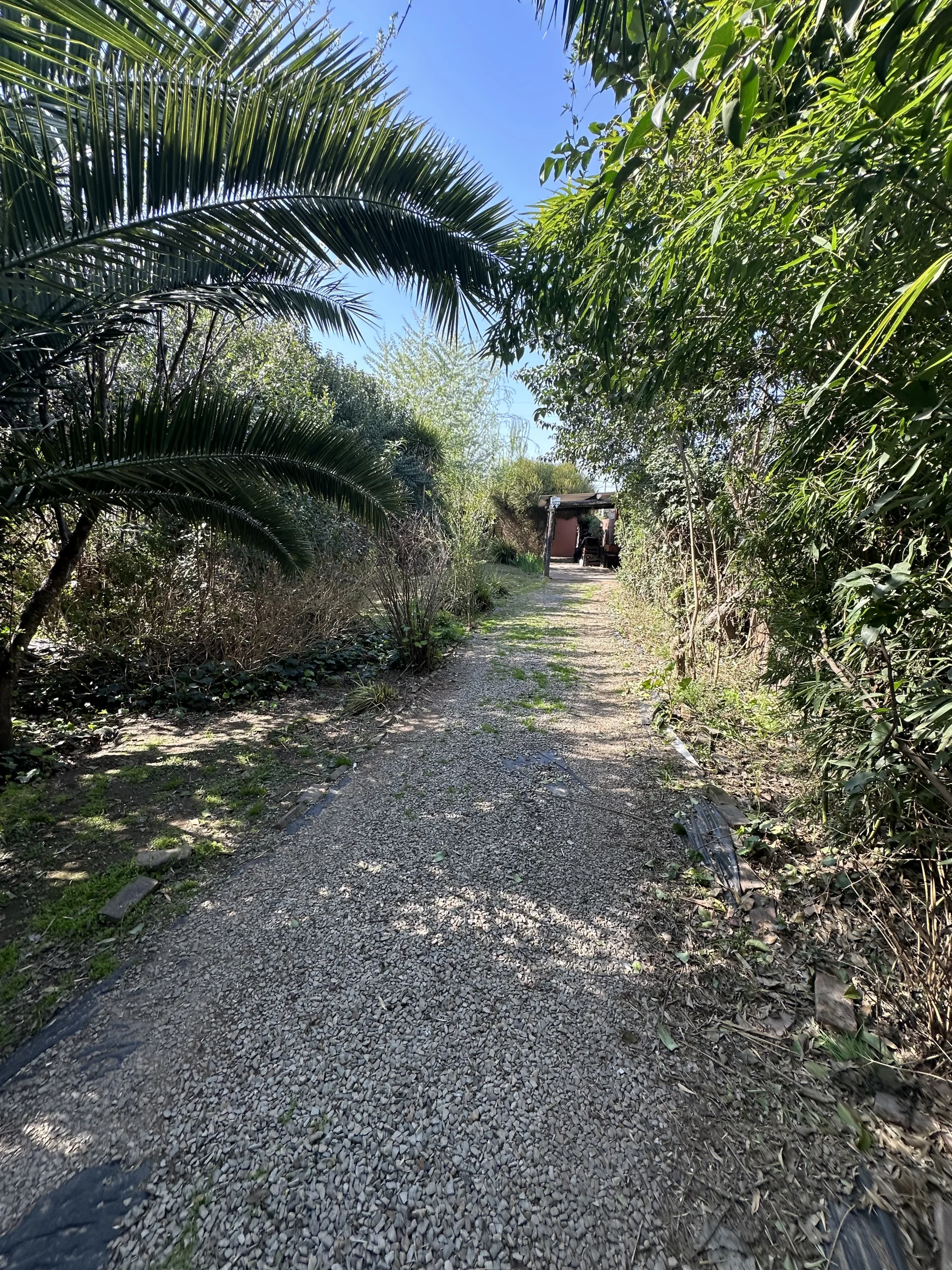 Casa Juan Manuel de Rosas 1384