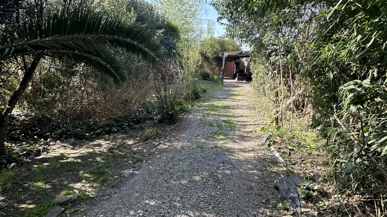 Casa Juan Manuel de Rosas 1384