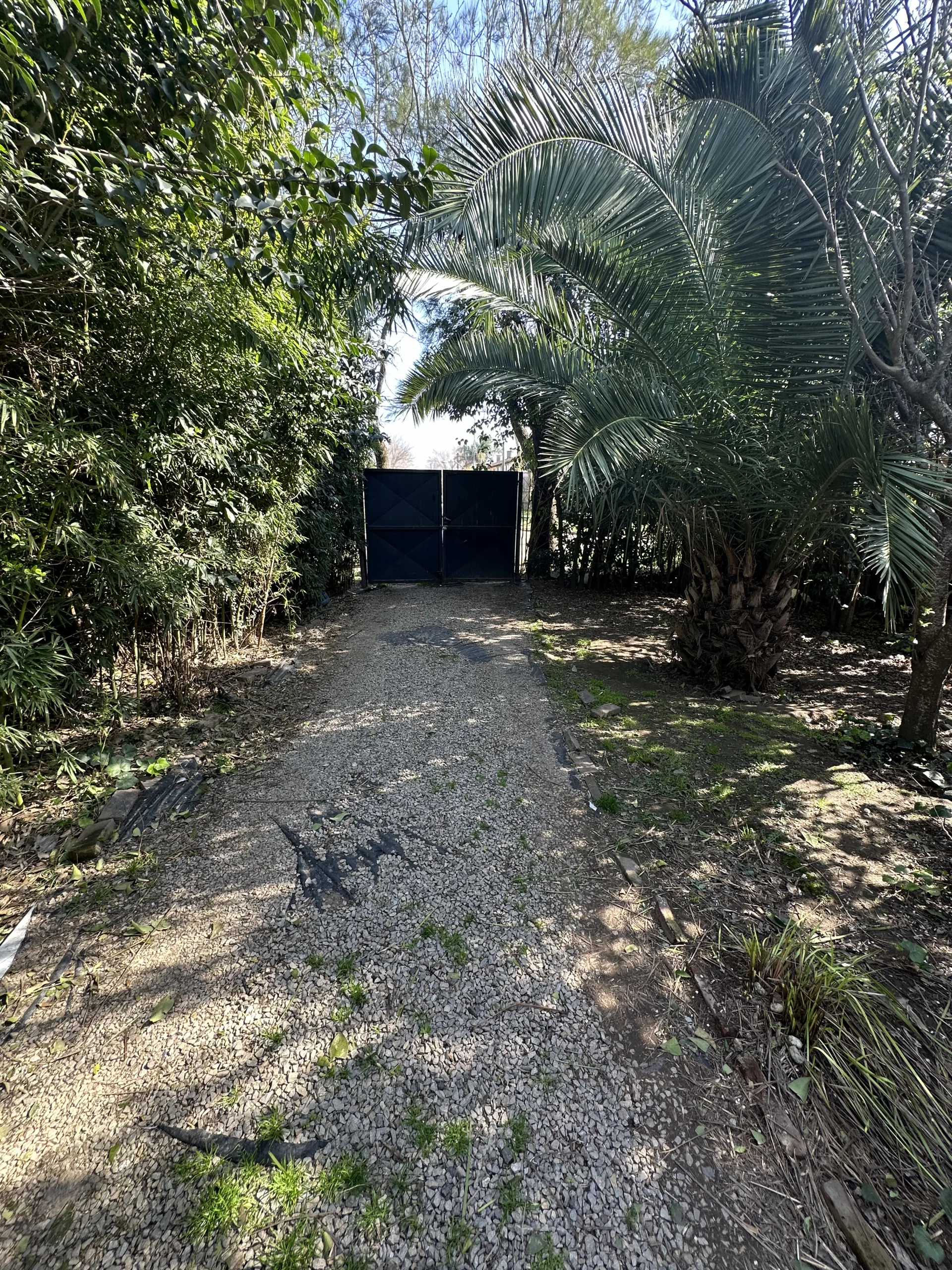 Casa Juan Manuel de Rosas 1384