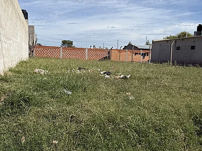 Lote German Vega e/ San Martín y Alem