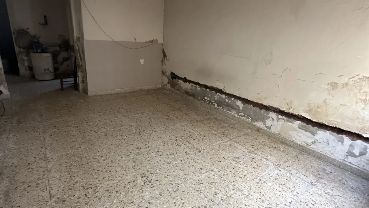 Casa Céntrica Pellegrini 1182