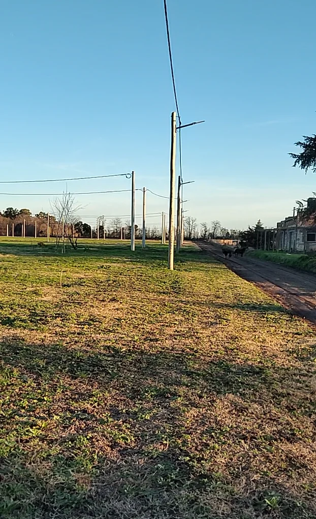 VENTA - LOTES - BRAGADO