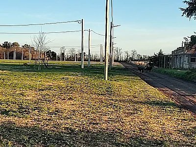 VENTA - LOTES - BRAGADO