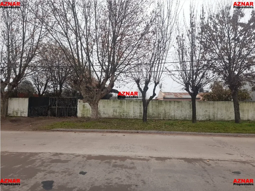 Quinta en venta en Rivadavia Nº 2780 e/ Palacios y Viamonte