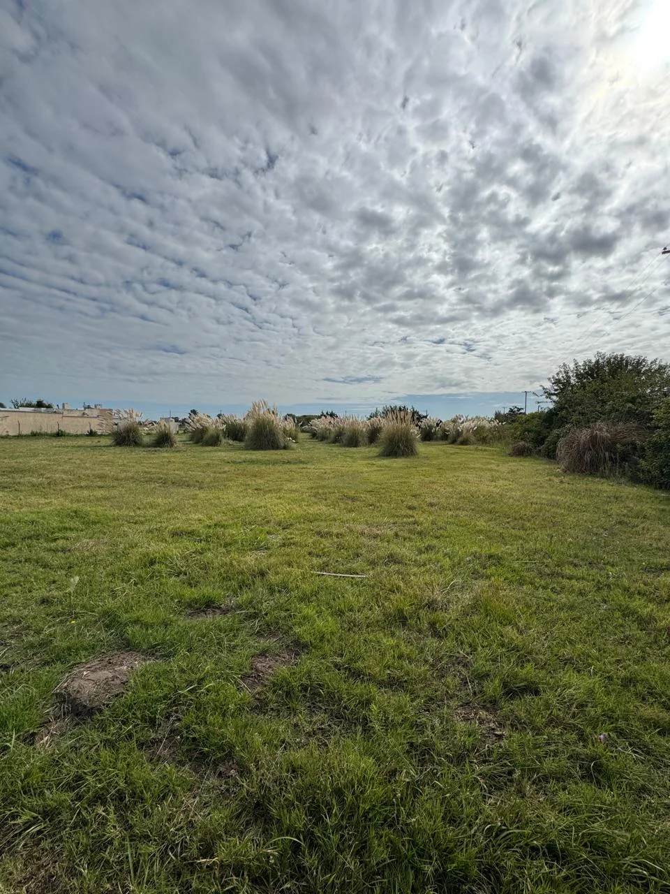 VENTA - LOTE LOS ROBLES