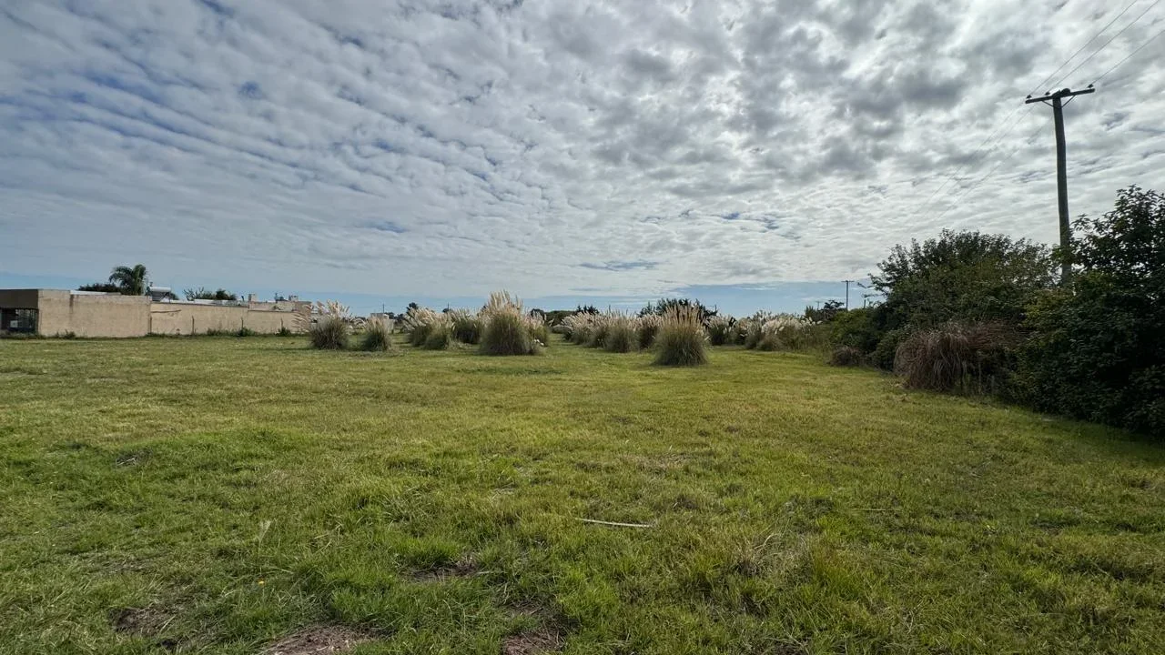 VENTA - LOTE LOS ROBLES