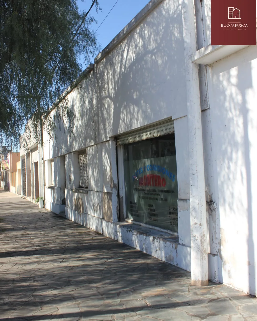 Casa + Local + Galpón
