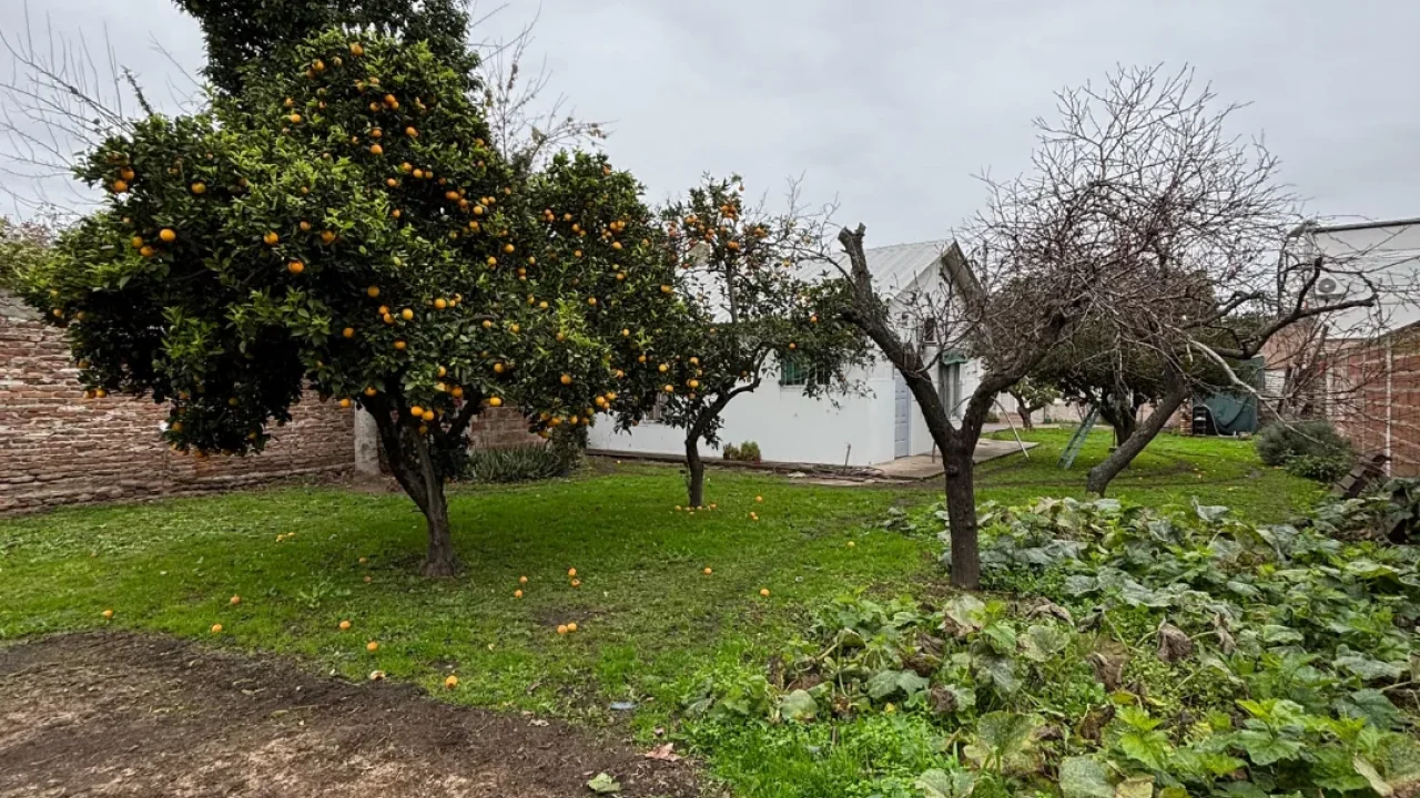 VENTA | DOS VIVIENDAS EN UN MISMO LOTE