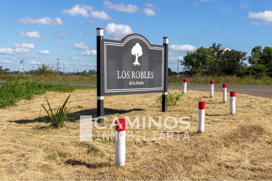 VENTA - LOTES - BRAGADO