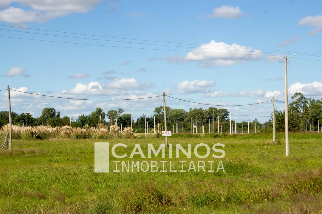 VENTA - LOTES - BRAGADO