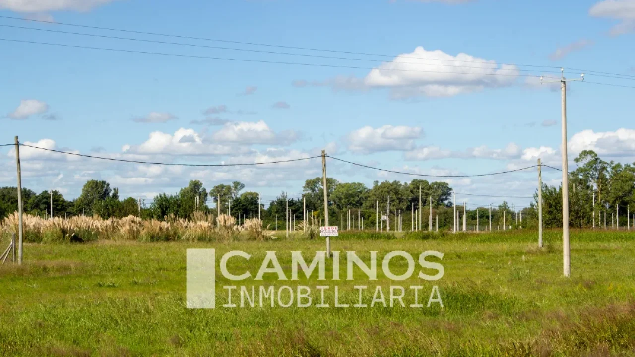 VENTA - LOTES - BRAGADO