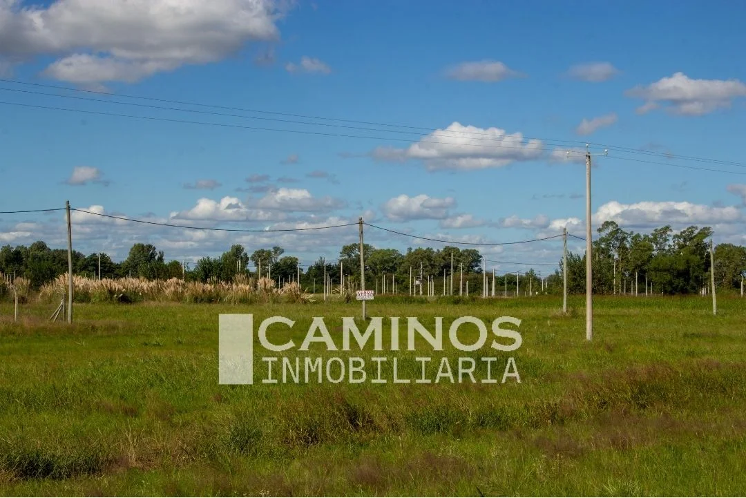 VENTA - LOTES - BRAGADO