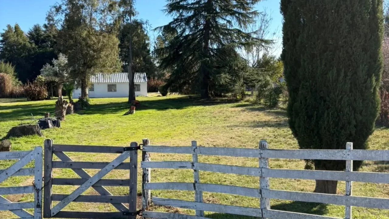 EN ALQUILER, QUINTA UBICADA A METROS DE RUTA 46. (A 100mts de la baja de Chacras de Bragado)
