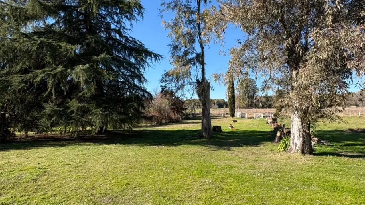 EN ALQUILER, QUINTA UBICADA A METROS DE RUTA 46. (A 100mts de la baja de Chacras de Bragado)