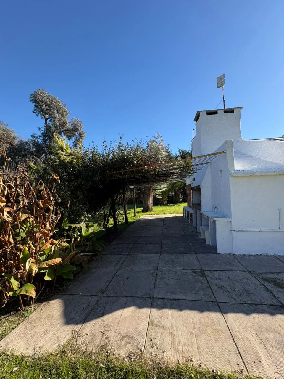 EN ALQUILER, QUINTA UBICADA A METROS DE RUTA 46. (A 100mts de la baja de Chacras de Bragado)