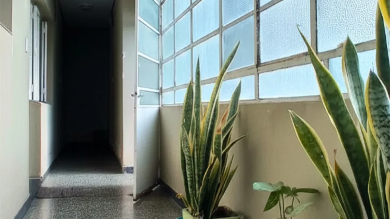 EN VENTA ➡️ DEPARTAMENTO EN PLANTA ALTA