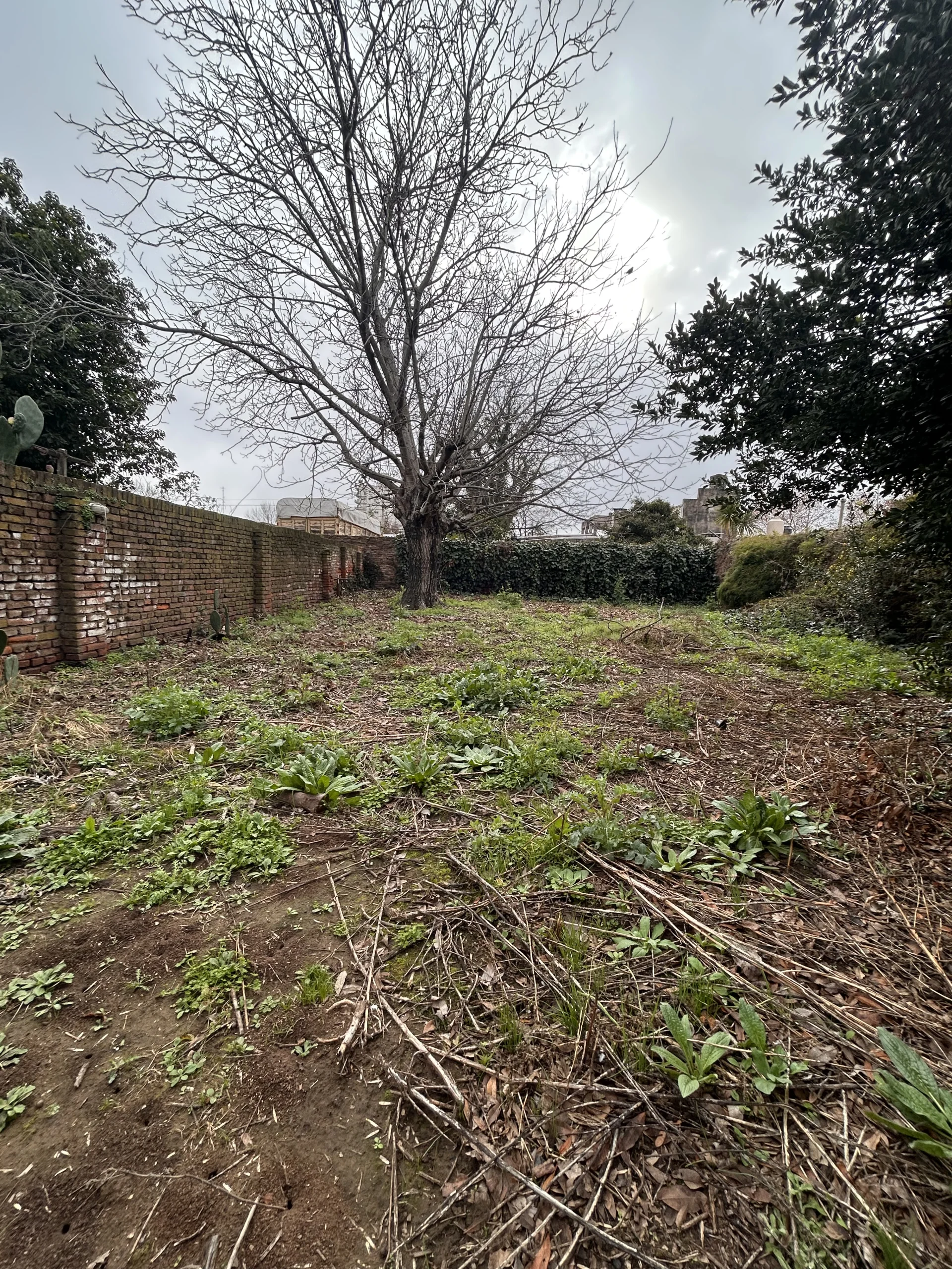 Casa + Galpon En Venta