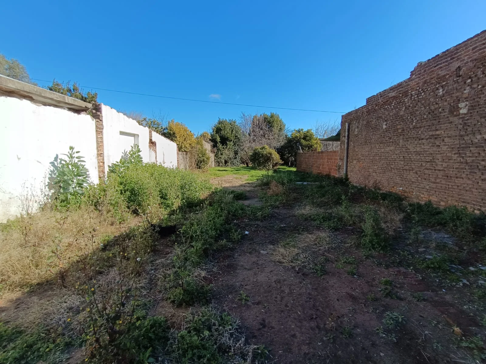 EN VENTA, LOTE UBICADO SOBRE CALLE RAUCH AL 600