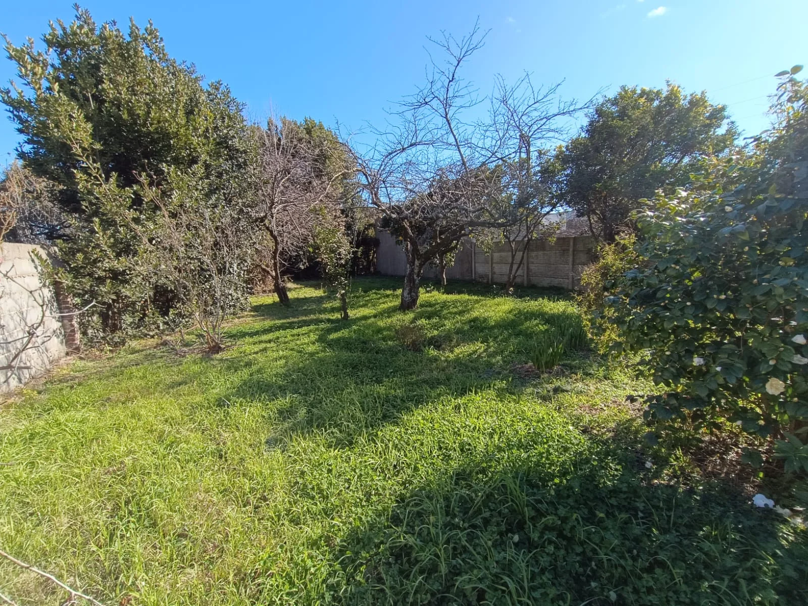 EN VENTA, LOTE UBICADO SOBRE CALLE RAUCH AL 600