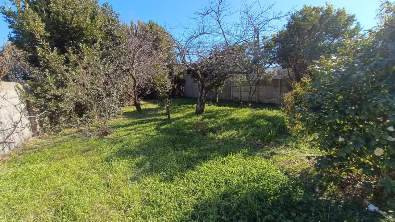 EN VENTA, LOTE UBICADO SOBRE CALLE RAUCH AL 600