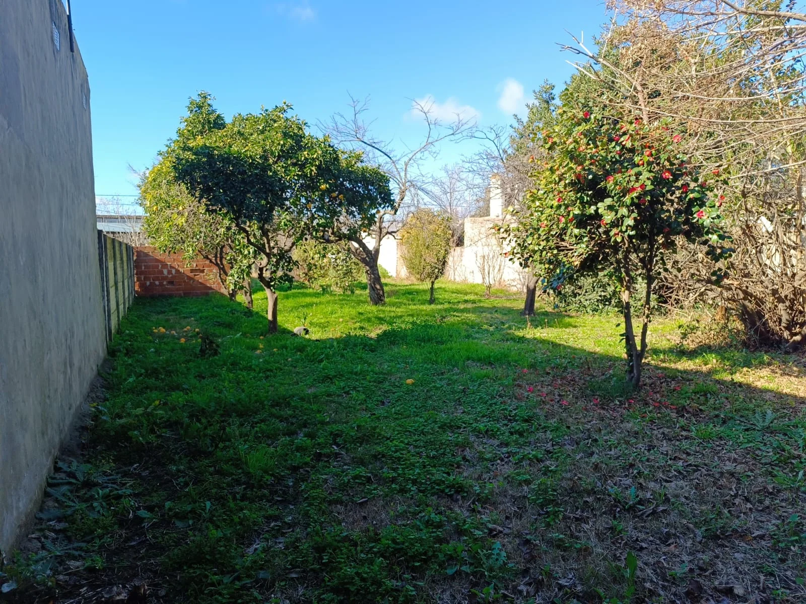 EN VENTA, LOTE UBICADO SOBRE CALLE RAUCH AL 600