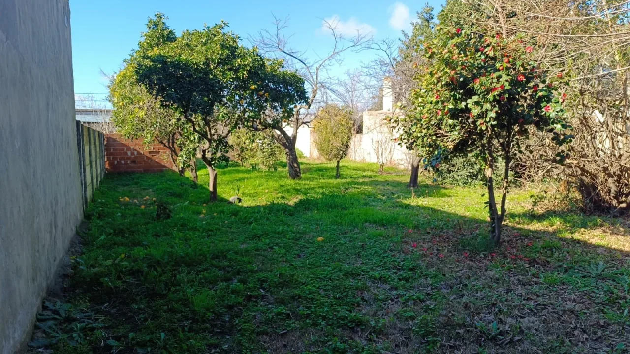EN VENTA, LOTE UBICADO SOBRE CALLE RAUCH AL 600