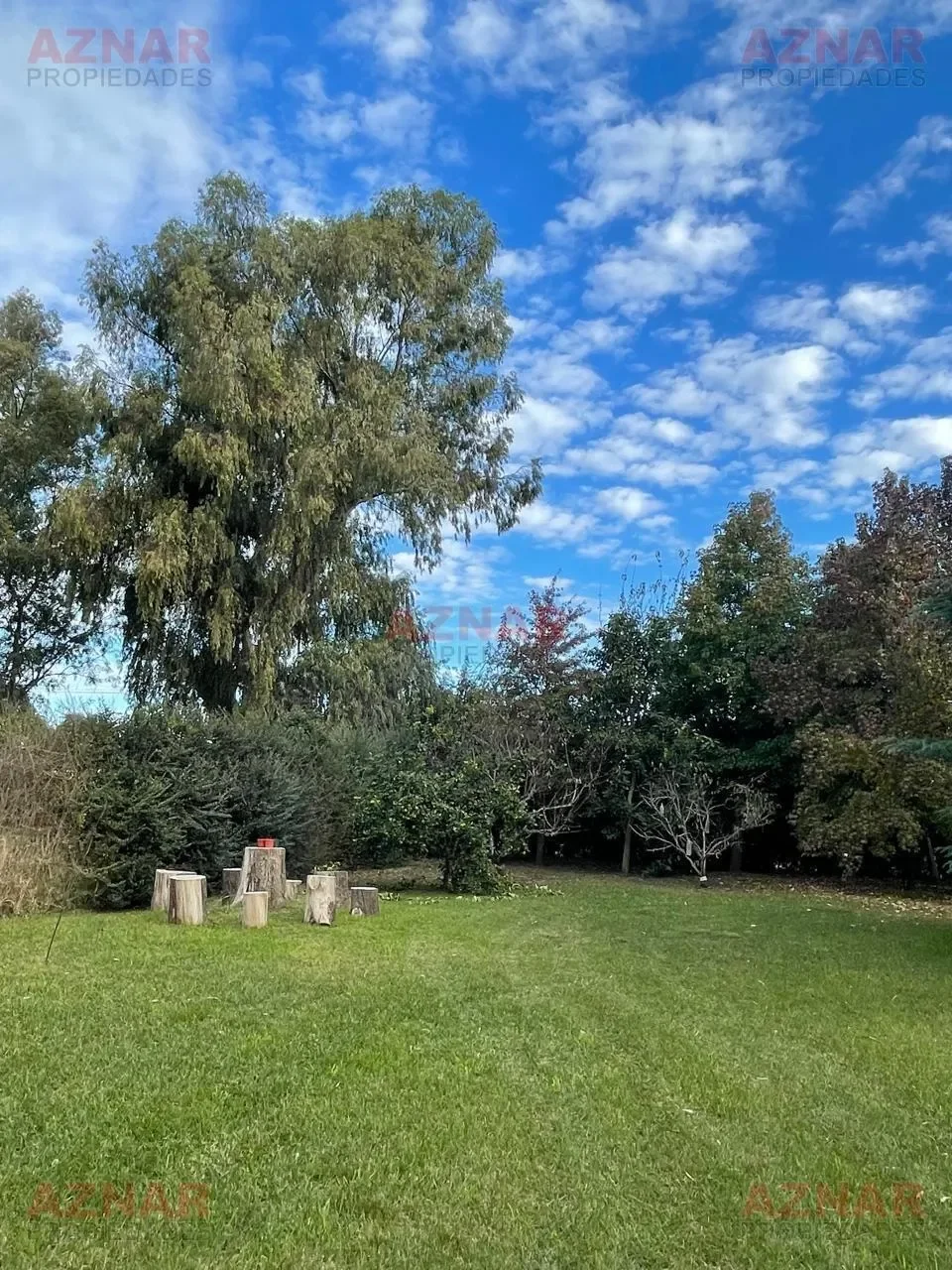Quinta en venta en  Dorrego Nº 602 e/ Quenard y El Pampero