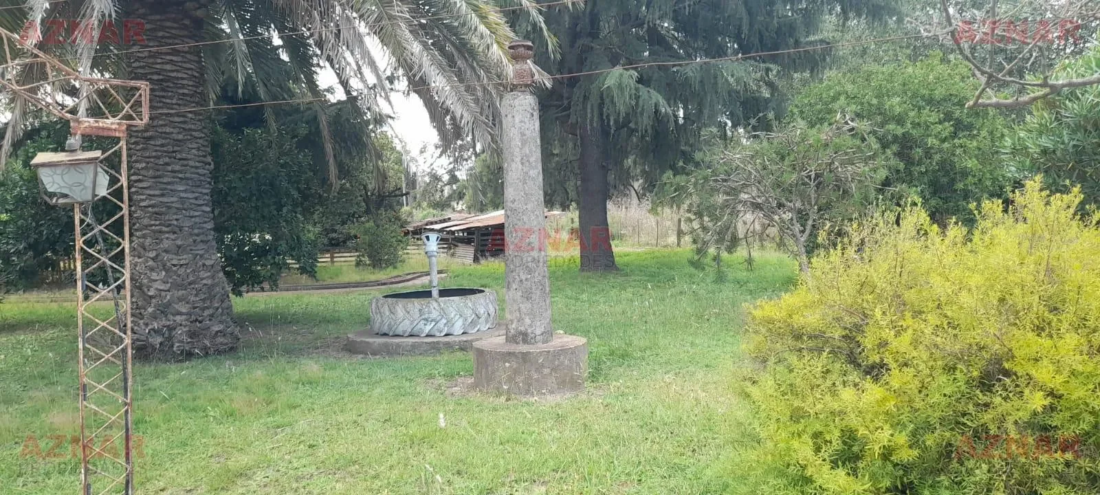 Quinta en venta en calle Los Cedros Nº846