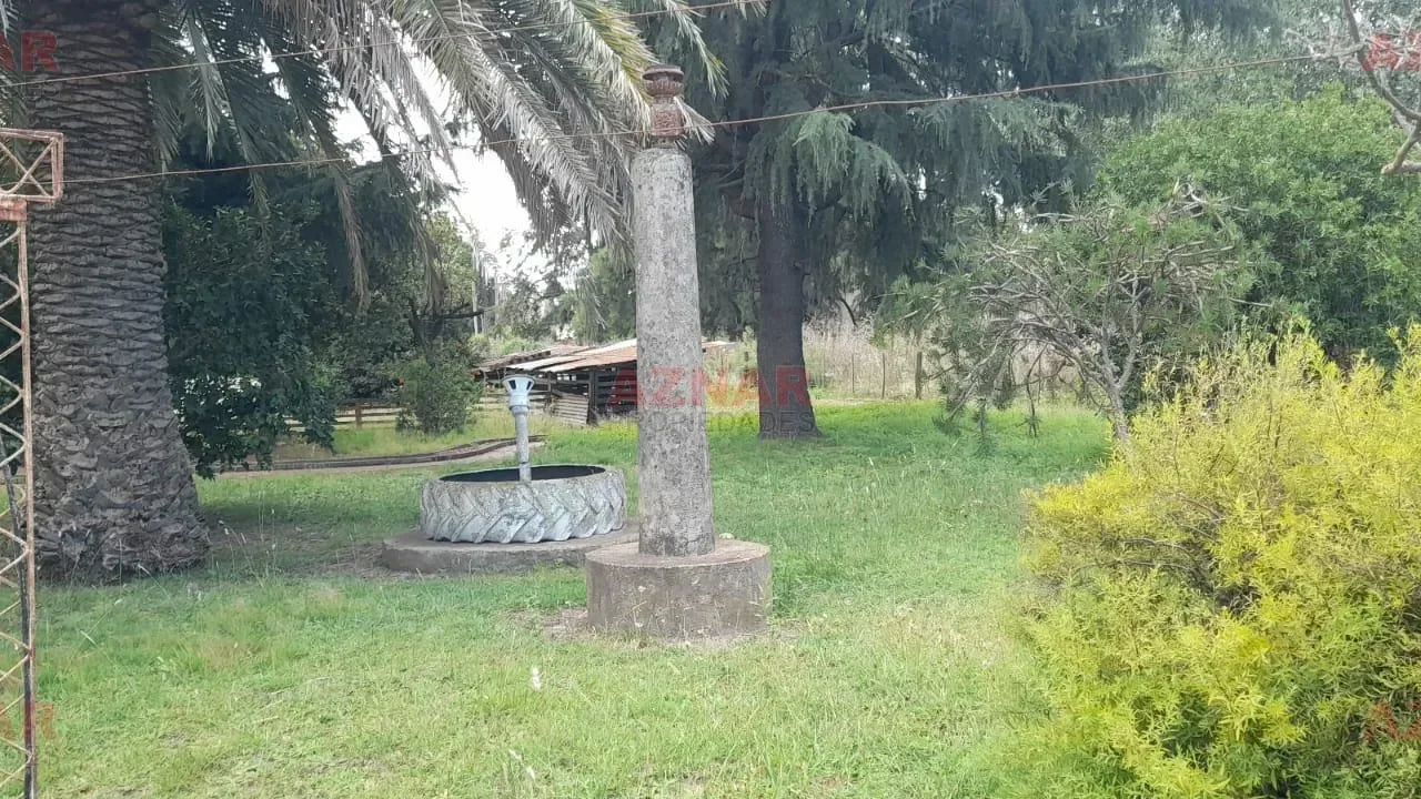 Quinta en venta en calle Los Cedros Nº846