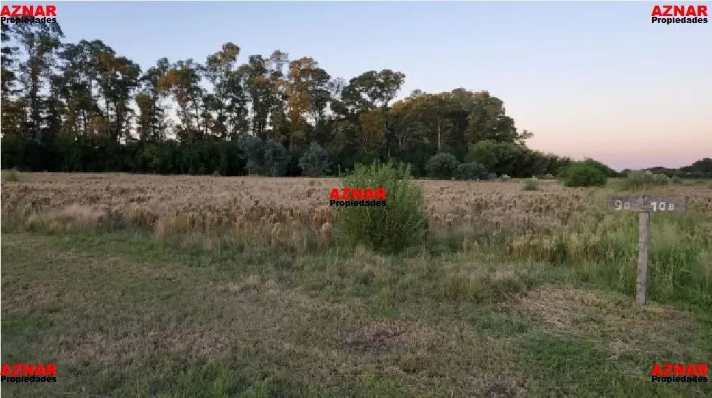 Terreno en Ruta 46 Km 58,5 - Chacras del Bragado