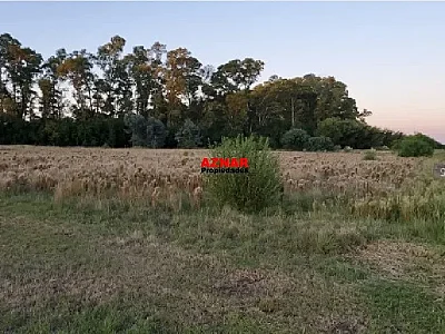 Terreno en Ruta 46 Km 58,5 - Chacras del Bragado