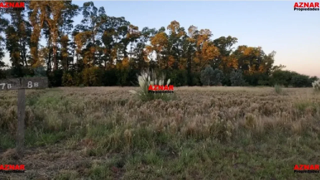 Terreno en Ruta 46 Km 58,5 - Chacras del Bragado