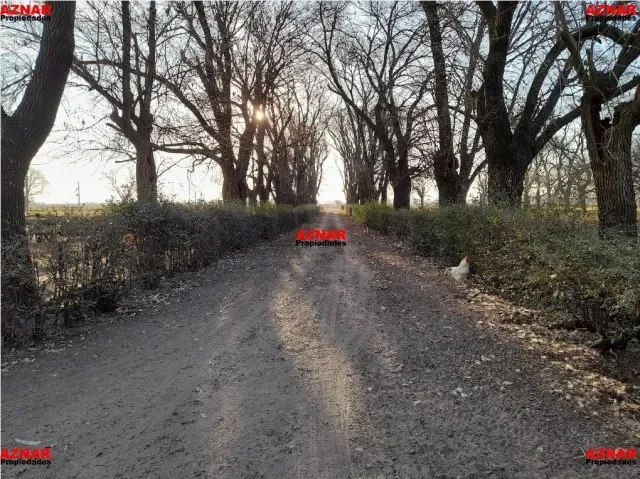 Campo en venta en Ruta 5