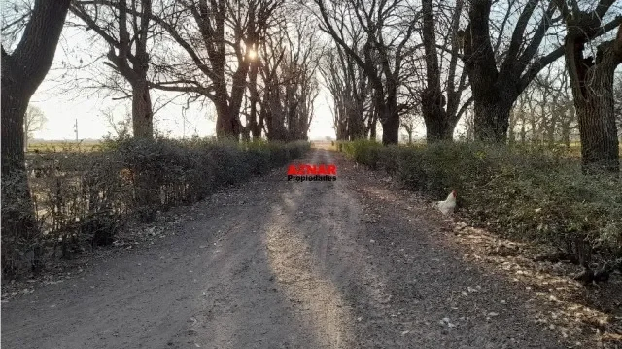 Campo en venta en Ruta 5