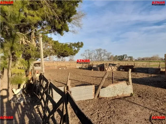 Campo en venta en Ruta 5