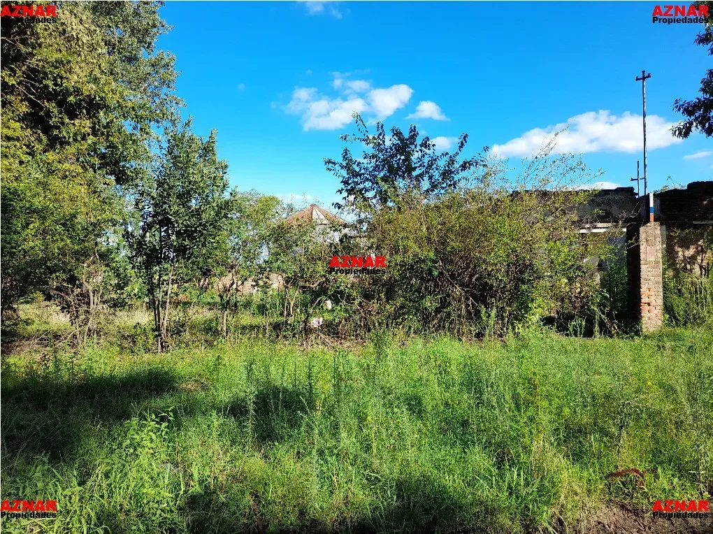 Terreno en venta en Los Claveles Nº 200 e/ Rivadavia y Los Fresnos
