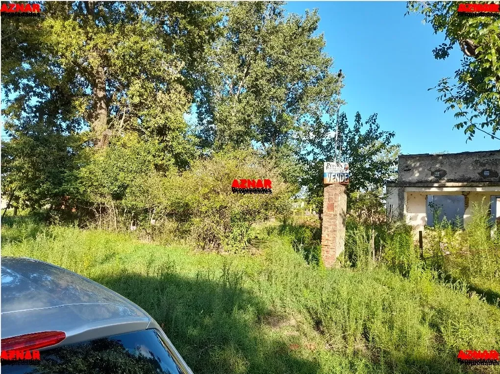 Terreno en venta en Los Claveles Nº 200 e/ Rivadavia y Los Fresnos