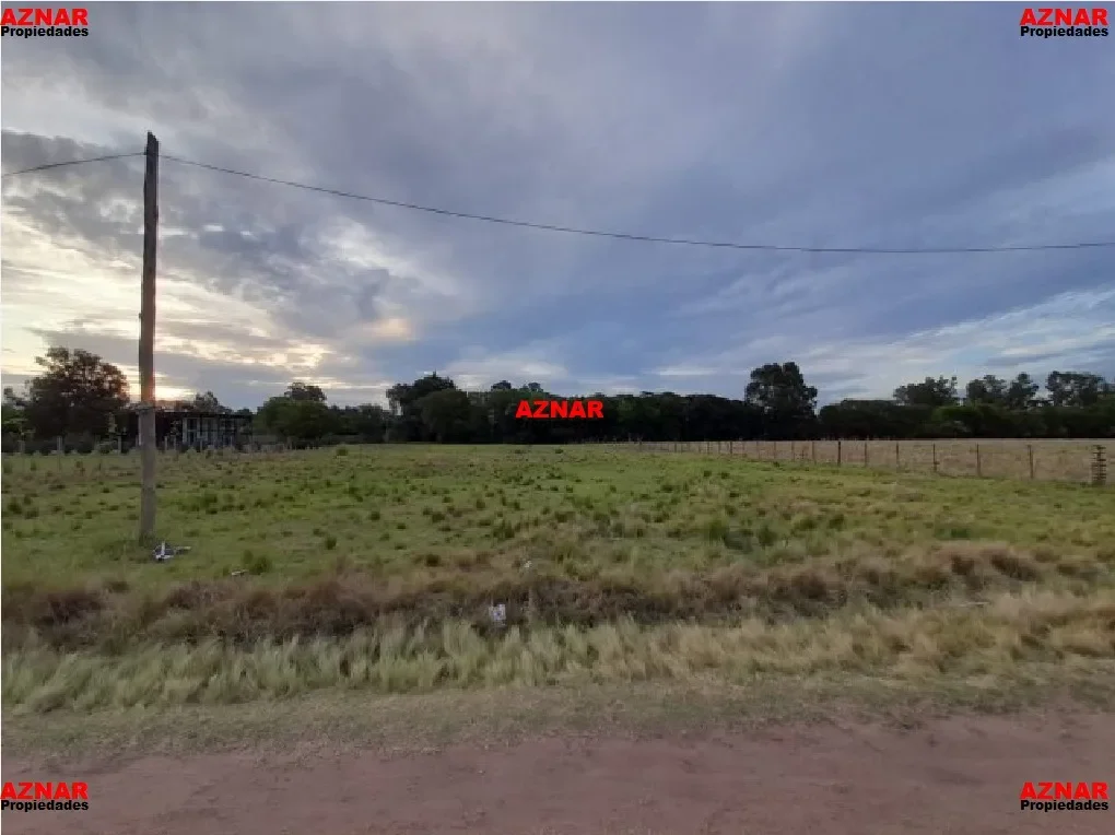Terreno en venta en Roca Nº1559 e/ Paseo del Bosque y Dorrego