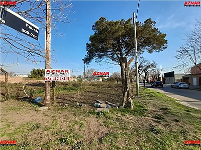 Terrenos en venta en calle Jaime Coll e/ Rauch y Salta